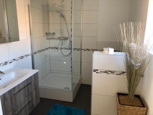 y baño con ducha y lavamanos. en Ferienhaus Strandperle, en Friedrichskoog