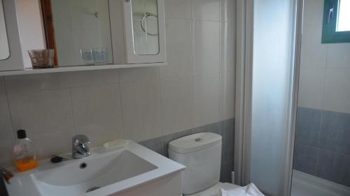 バジェ・グラン・レイにあるCasa Olivier La Playa bajoのバスルーム(トイレ、洗面台、シャワー付)
