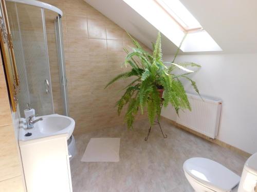 a bathroom with a toilet sink and a plant at Potok 5 in Złoczew