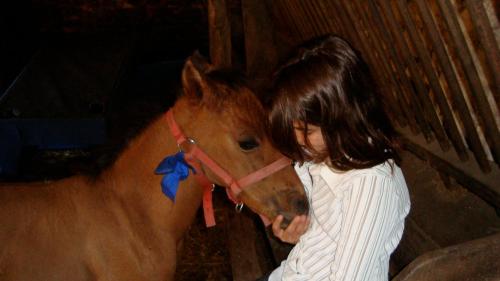une jeune fille caresse un cheval brun dans l'établissement LA PROVIDENCE, à Le Noyer