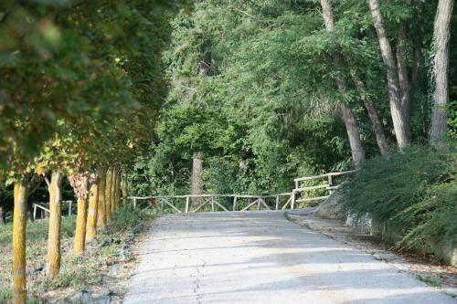 a dirt road with trees and a fence at Tenuta Pian D'Attesio - Agriturismo in Castelletto Soprano