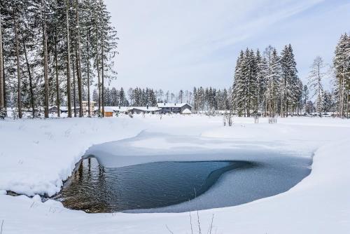 Center Parcs Park Allgäu semasa musim sejuk