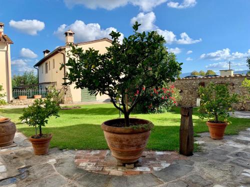 La Corte di Ronzano – Photos 2