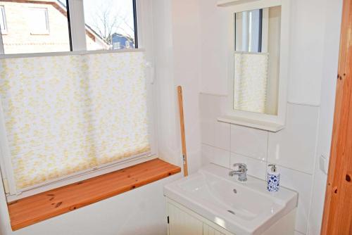 BlieschowにあるFerienwohnung Anjaのバスルーム(洗面台、窓付)