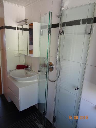 a bathroom with a sink and a glass shower at Ulmer Münster Blick in Elchingen