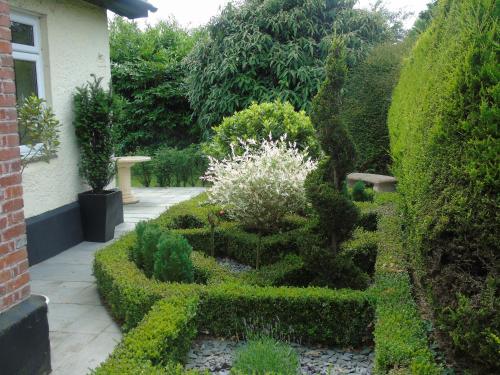 a garden with green plants and a path at The Old School B&B in Chichester