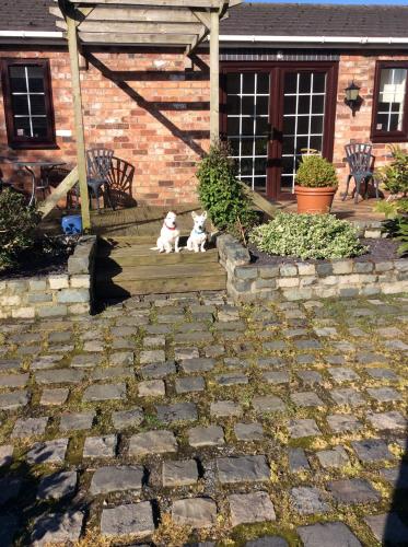 The Barn Bed and Breakfast photo 31
