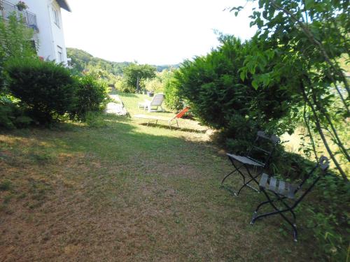 a yard with a bench and some bushes at Dom y Ziel in Unterflockenbach