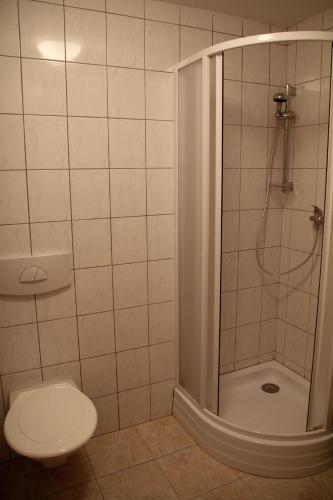 a bathroom with a shower and a toilet at Pension 48 in Špindlerův Mlýn