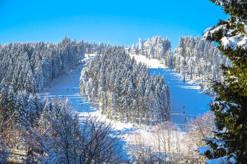 a snow covered mountain with trees and a ski slope at Hotel Schneider in Winterberg