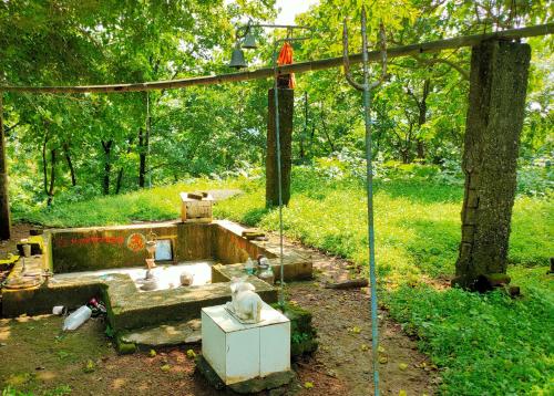 a garden with a sink and a tree at Shobha Farmhouse in Kashid