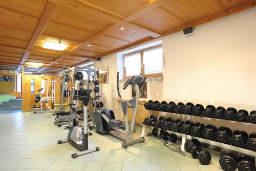 Gimnasio o instalaciones de fitness de Hotel Martellerhof