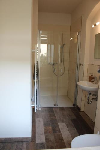 ein Badezimmer mit Dusche und Waschbecken in der Unterkunft Ferienwohnung Goldgrund15 in Meißen