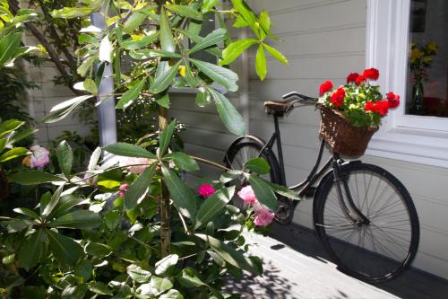 a bike with a basket filled with flowers next to a house at Cambria House in Nelson