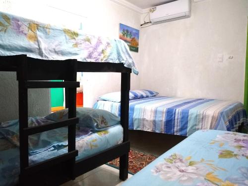 a bedroom with two beds and a bunk bed at Posada Green Sea San Luis pesos with breakfast included starting in March in Cueva de Morgan