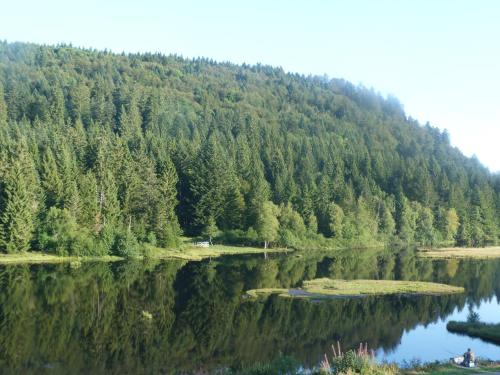 a reflection of a mountain in a lake with trees at Domaine Des Hauts Viaux in La Bresse