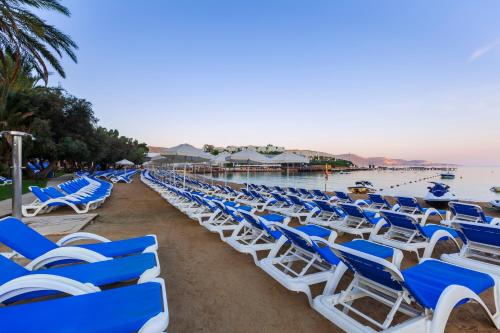 a row of blue and white chairs on a beach at Samara Hotel Bodrum Ultra All Inclusive in Torba