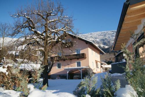 a building with a tree in the snow at Apartment Lilly in Lienz