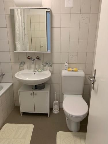 Koupelna v ubytování Haus zur Eiche Private 3,5 Zimmerwohnung bis zu 8 Gäste