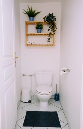La salle de bains est pourvue de toilettes et de plantes murales. dans l'établissement 2 pièces avec grande terrasse - Centre de Toulon, à Toulon