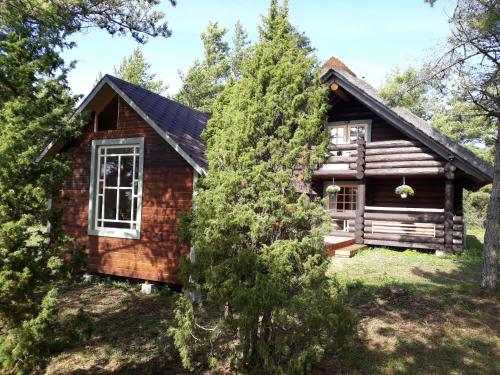 a log cabin in the woods with a tree at Pähkli Seaside Cottage with Cozy Outdoor Patio in Kõiguste