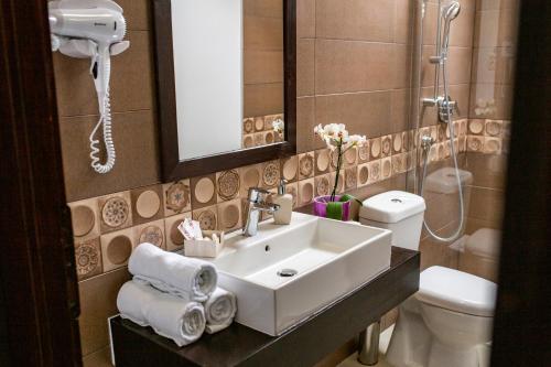 a bathroom with a sink and a toilet and a mirror at Hotel Floare de Colt in Mănăstirea Humorului