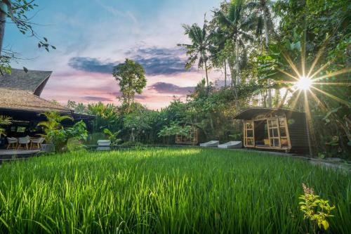 a house in a field of tall green grass at Surya Kembar Villas in Ubud