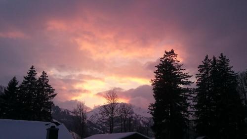 a sunset in the mountains with trees and snow at Bauernhof Waldesruh in Tannheim