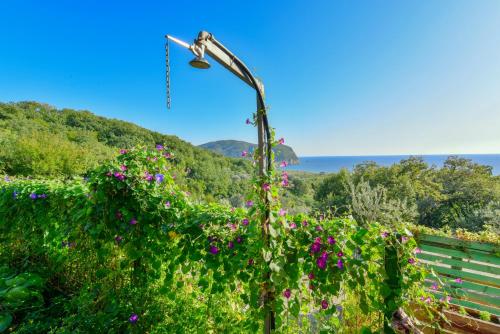 Imagen de la galería de Pataki Guesthouse, en Petrovac na Moru