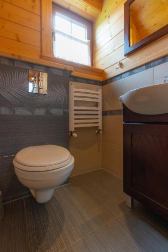 a bathroom with a toilet and a sink at Domki na Gubałówce in Zakopane