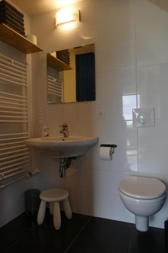a bathroom with a sink and a toilet at Ulekesnest in Helenaveen