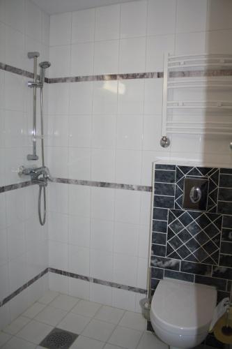 une salle de bain avec toilettes et douche dans l'établissement Arkadia Hotel & Hostel, à Helsinki