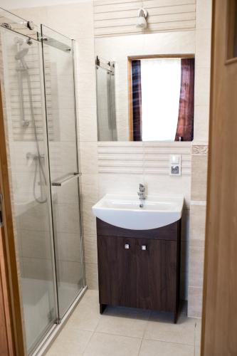 een badkamer met een wastafel en een glazen douche bij Agroturystyka Jaśmina in Warnice