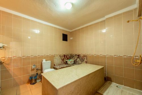 a bathroom with a sink and a toilet in it at EPHESUS CENTRUM in Selcuk