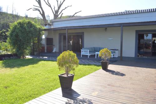 two potted trees sitting on a deck in a yard at Seabatical in Knysna