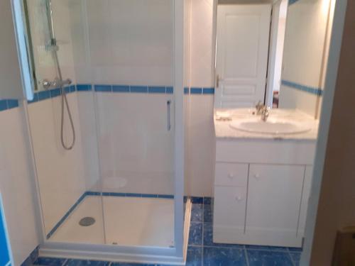 une salle de bain avec douche et lavabo dans l'établissement Appartement Côté Sud vert, à Sarlat-la-Canéda