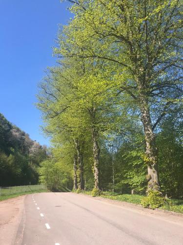 an empty road with trees on the side of the road at Tree Top Hill - The Old Station House - Båstad Holiday Apartments in Båstad