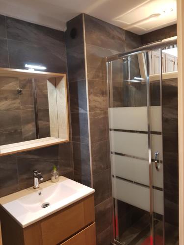 un baño con lavabo y ducha en Le Petit Chalet, en Auron
