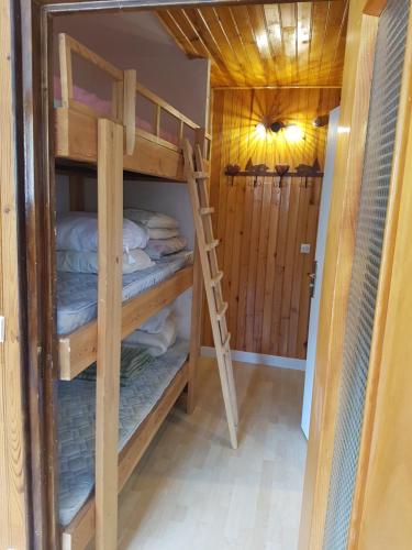 une chambre avec deux lits superposés et une échelle dans l'établissement Le Petit Chalet, à Auron