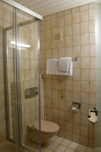 ein Badezimmer mit Dusche, WC und Handtüchern in der Unterkunft Hotel - Restaurant Baumann in Freiberg am Neckar
