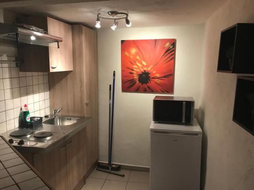 uma cozinha com um lavatório e uma pintura na parede em studio cosy em Gesves