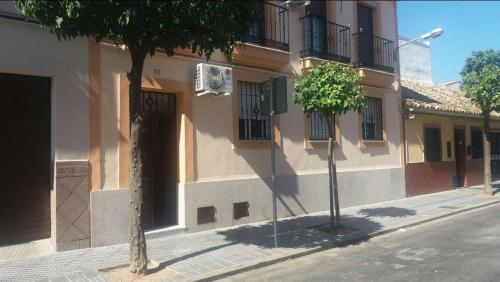 un edificio en una calle con un árbol delante en CALIFAL, en Córdoba