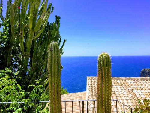 a group of cacti in front of a house and the ocean at Villa Bello Horizonte regio Denia - Javea in Pedreguer