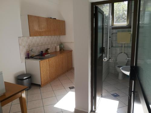 una pequeña cocina con lavabo y aseo en Aleks Sobe, en Banja Koviljača