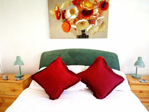 a bedroom with a bed with red pillows and a painting at Chalet for two - Dartmouth in Dartmouth