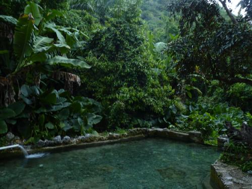 a pool of water in a garden with trees at Boutique B&B at Stone Village in Bluefields