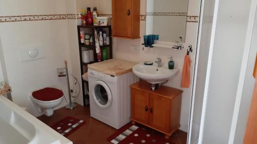 a small bathroom with a washing machine and a sink at Ferienwohnung Familie Kaufmann in Langenberg
