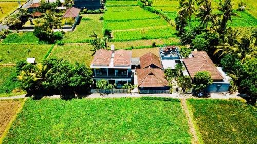 an aerial view of a house in a field at D'uma Amed Homestay in Amed