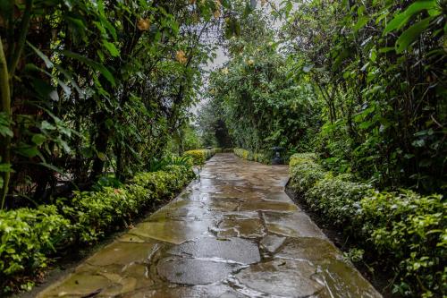 Un jardín fuera de Ingagi Park View Lodge
