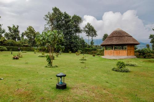 Un jardín fuera de Ingagi Park View Lodge